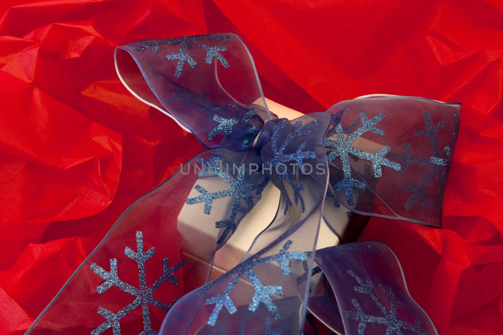ROMANTIC CHRISTMAS GIFT by fmcginn