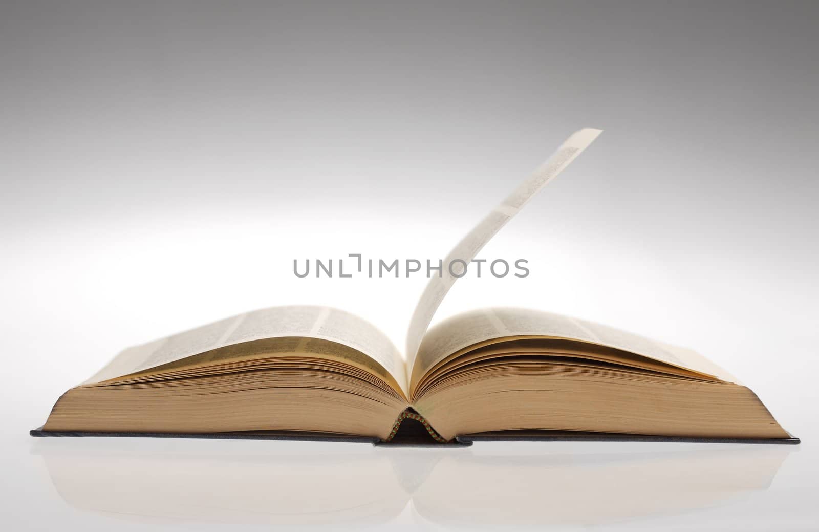 open book on white background