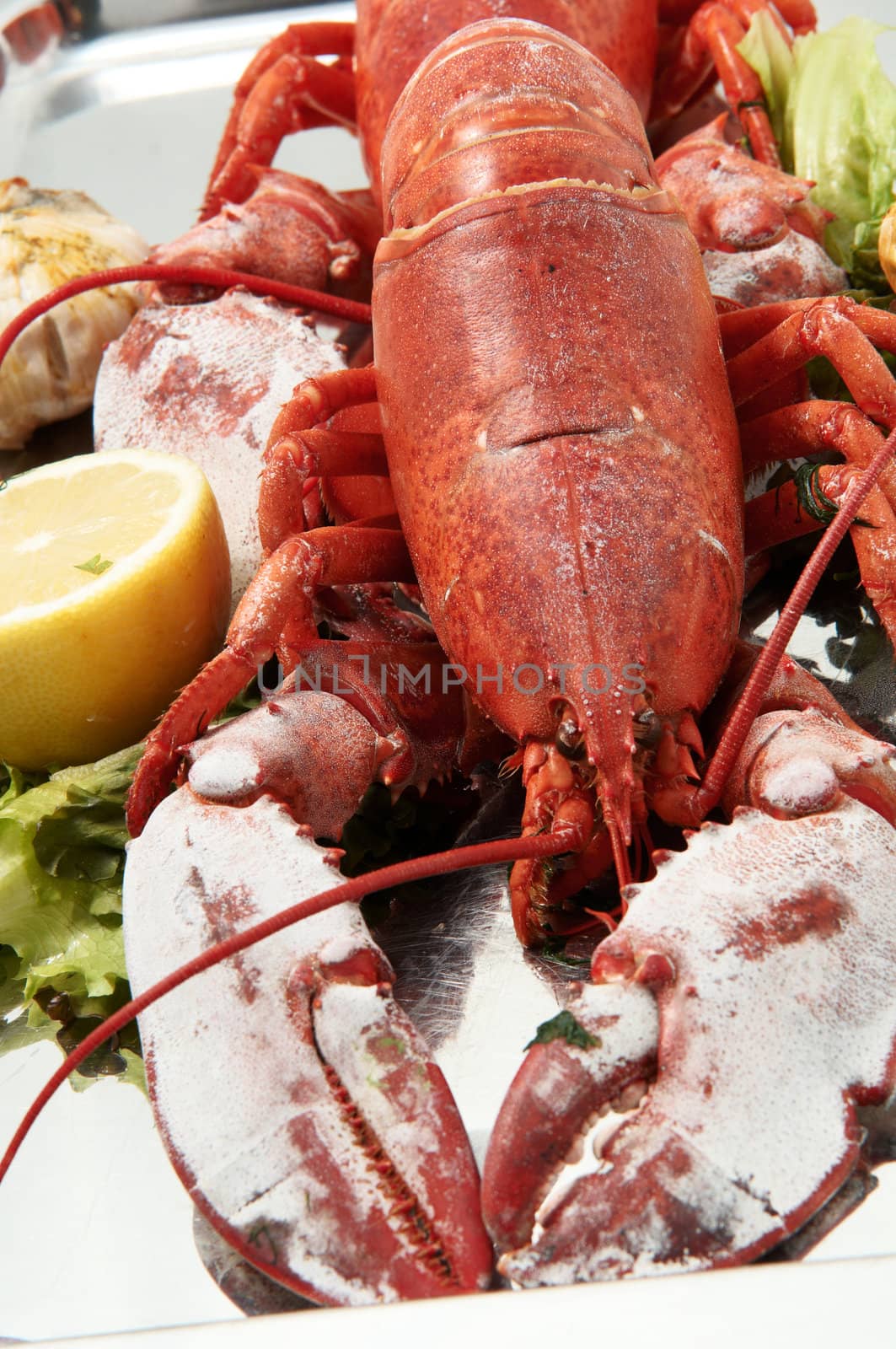 Steamed red boiled lobster with salad leaves and lemon in  restaurant .