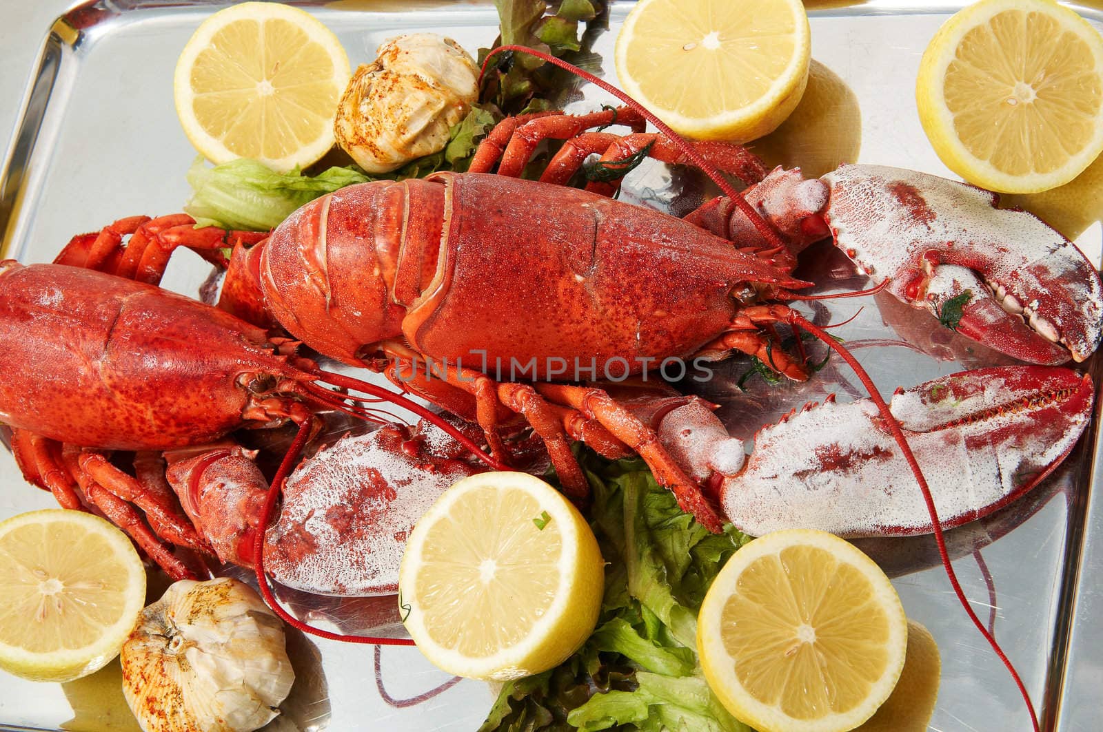 Steamed red boiled lobster with salad leaves and lemon in  restaurant .