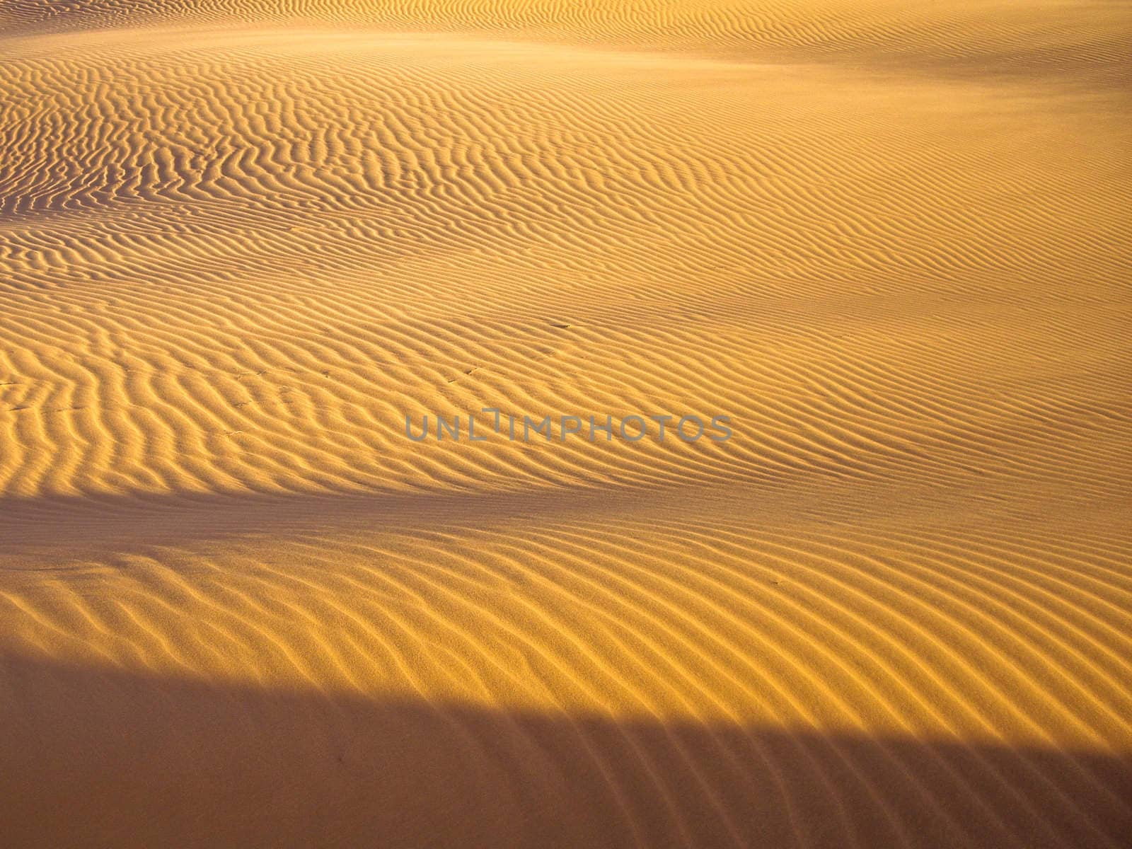 Sand patterns with light and shadow Utah USA