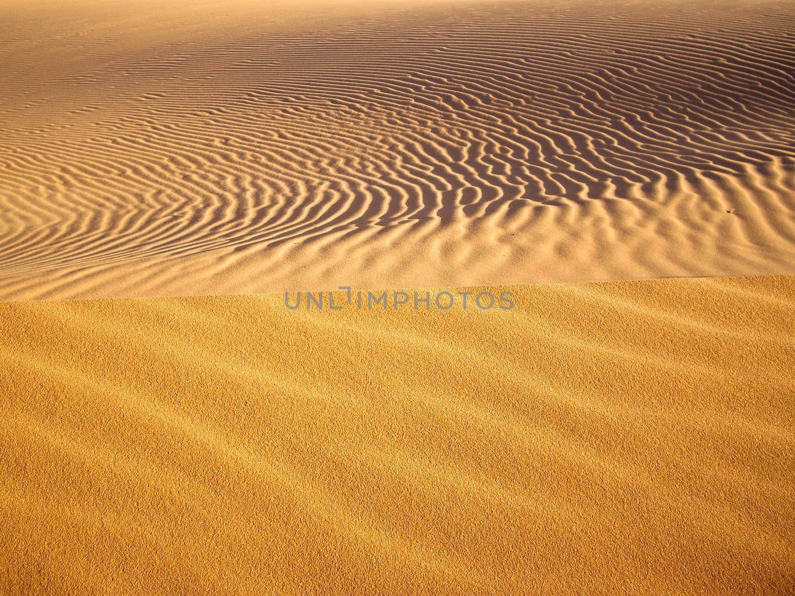 Swirling patterns of golden sand Utah USA