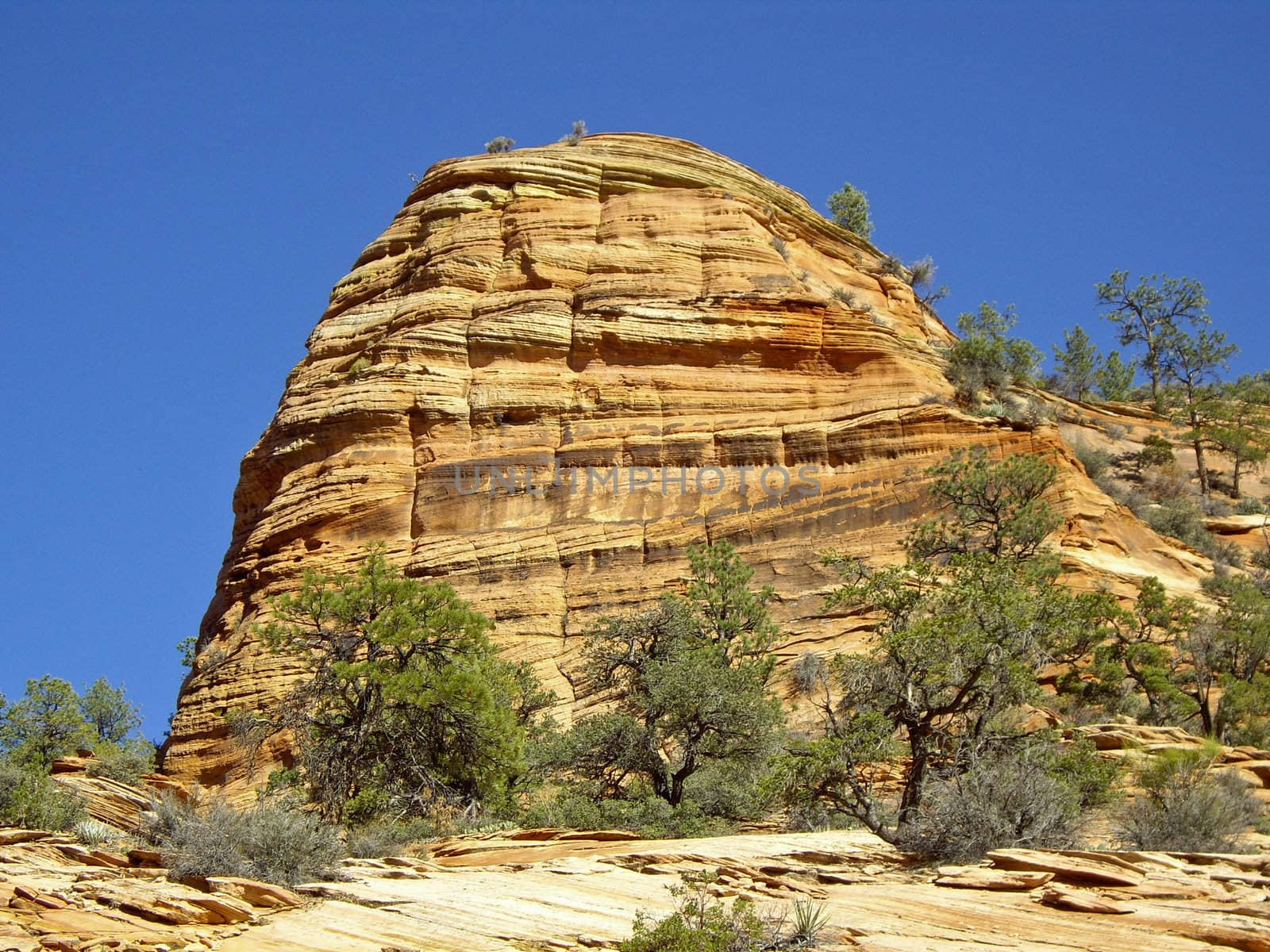 Large rock shows geological strata Zion