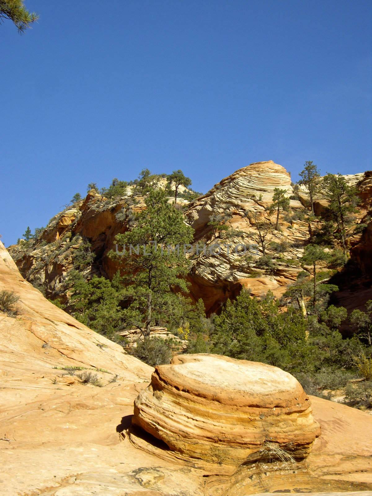 Rock formations at Zion National Park