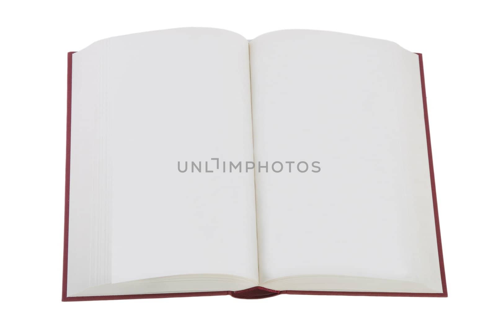 front view of open book on white background