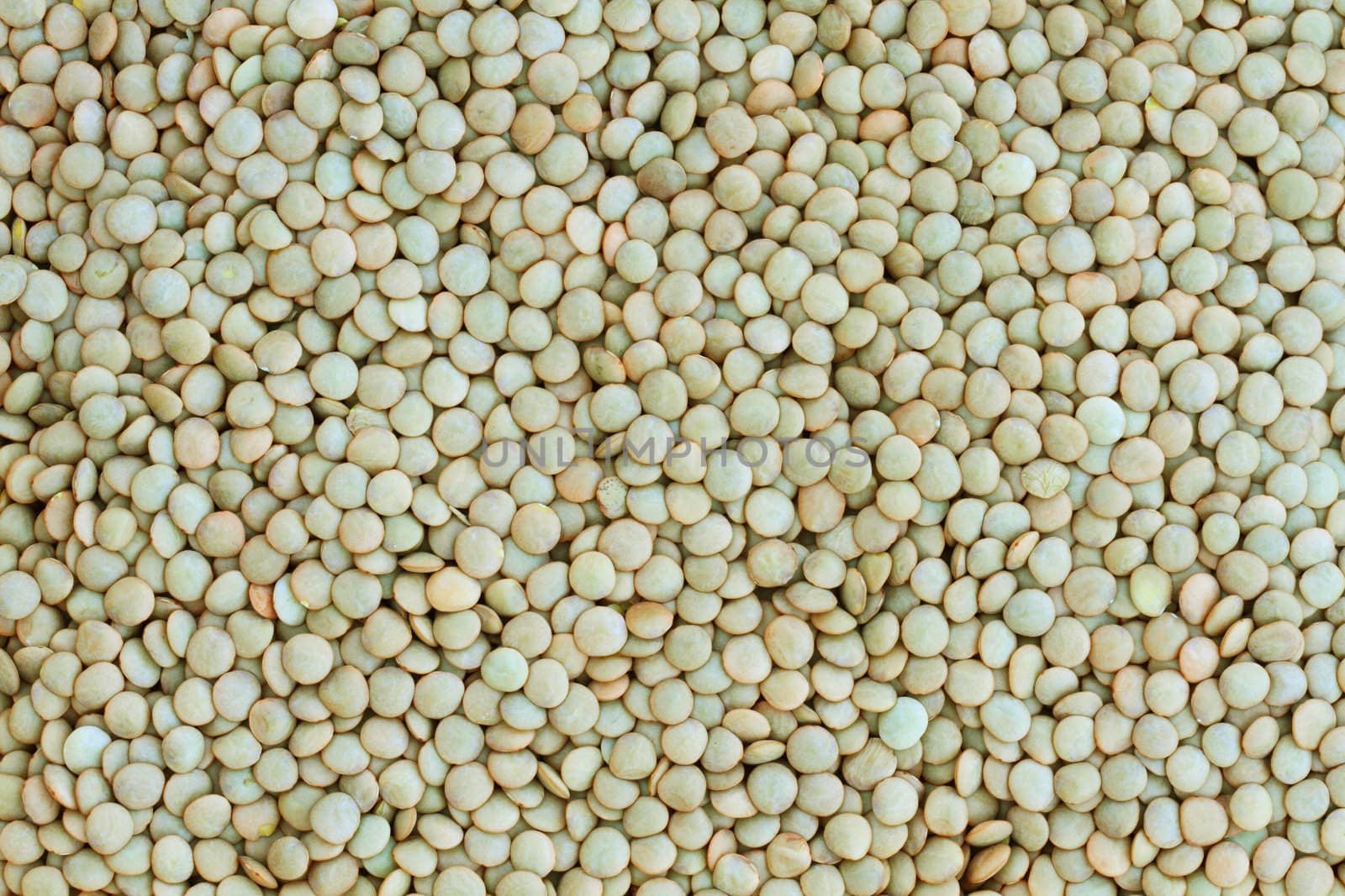 Macro of an uncooked flat lentil background.