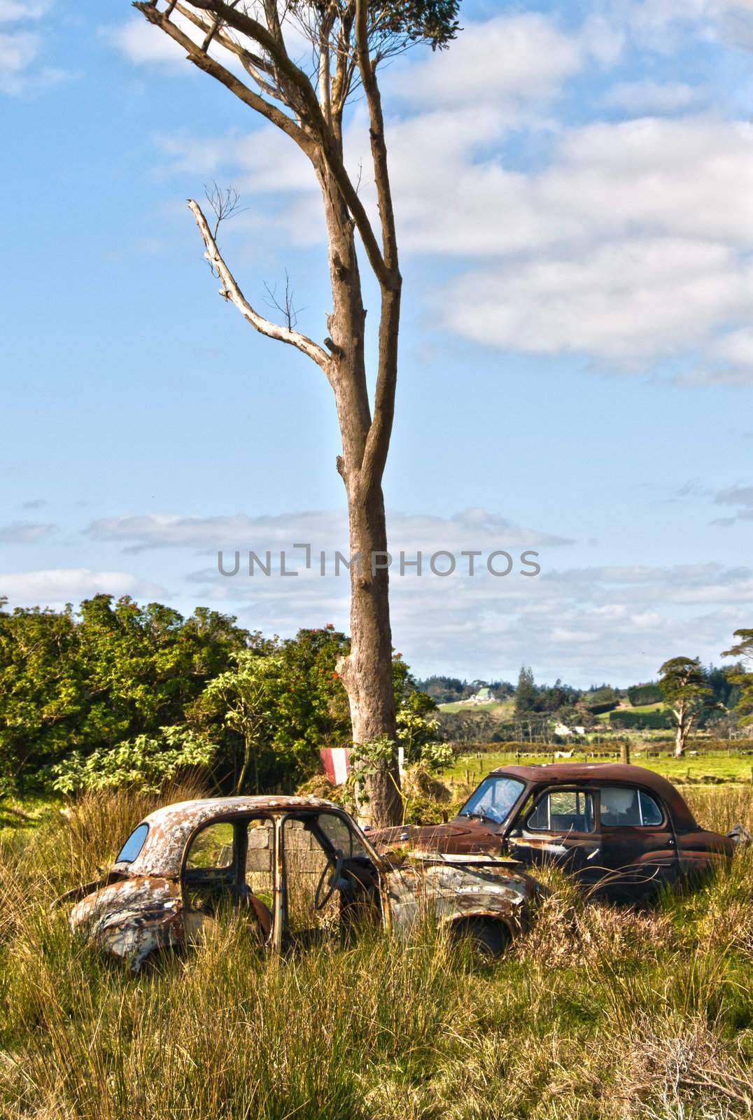 Abandoned cars in the New Zealand Countryside.