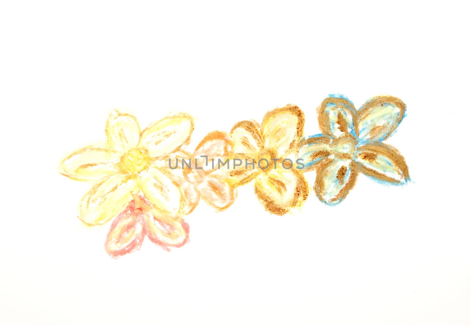 Flowers drawn with wax chalk isolated on white