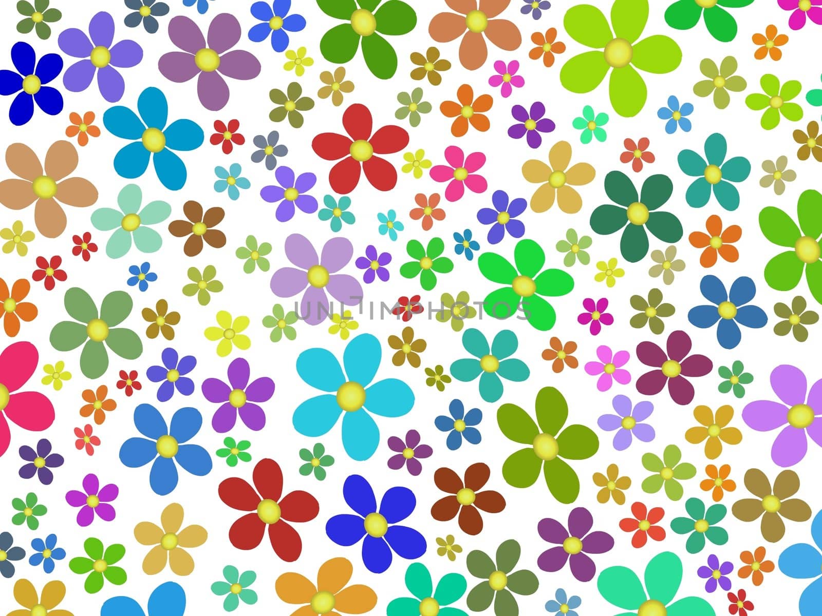 Multi coloured flowers on a white background 