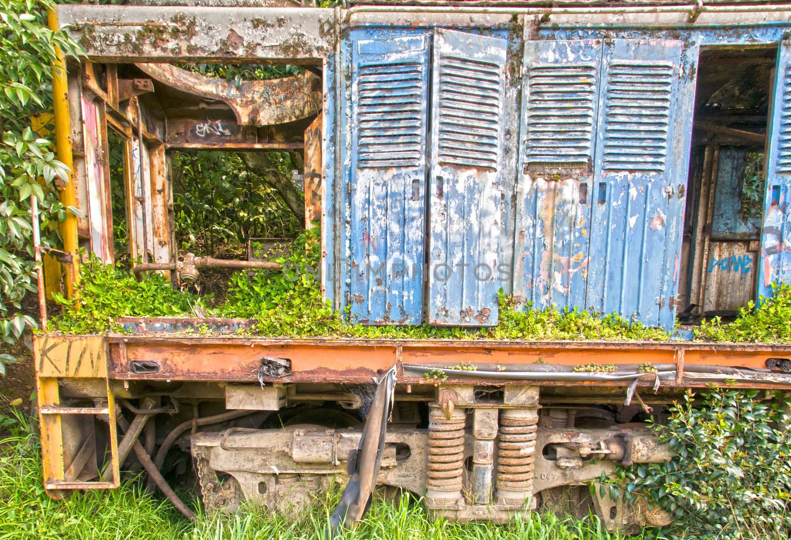 Abandoned Train carriages in Auckland, New Zealand.