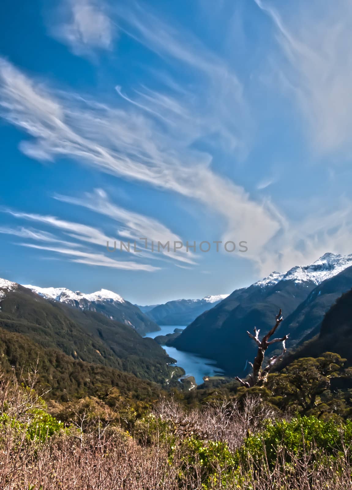 Viewpoint looking in the Doubtful Sound Valley in New Zealand.