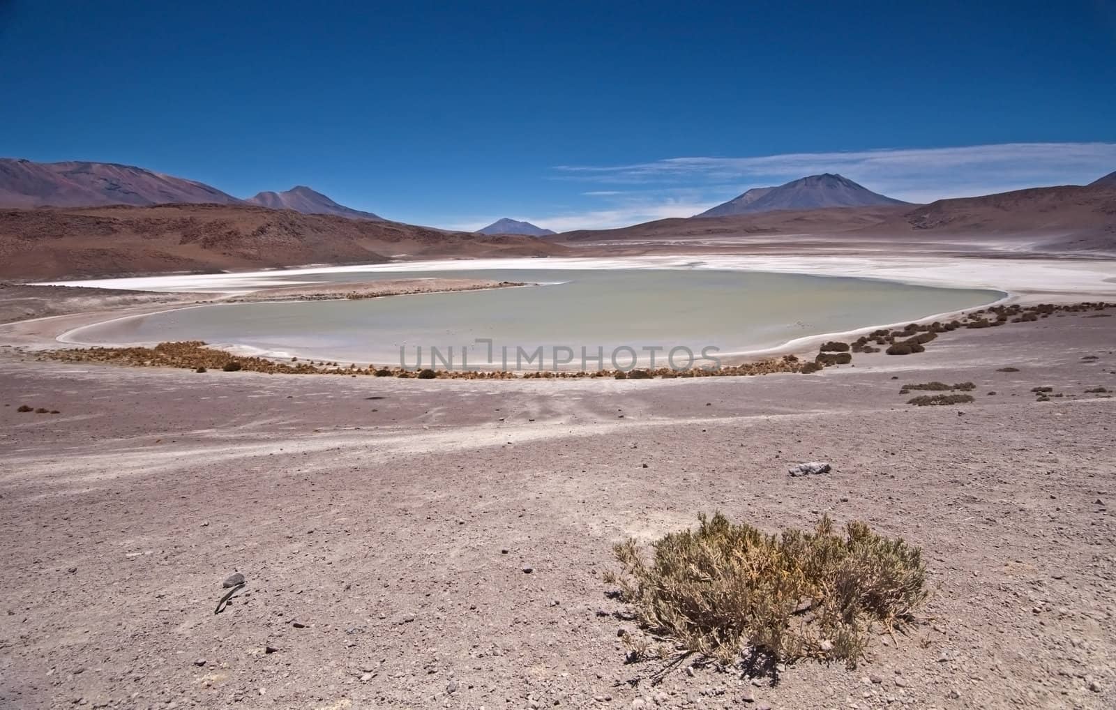 Laguna Blanco in Bolivia