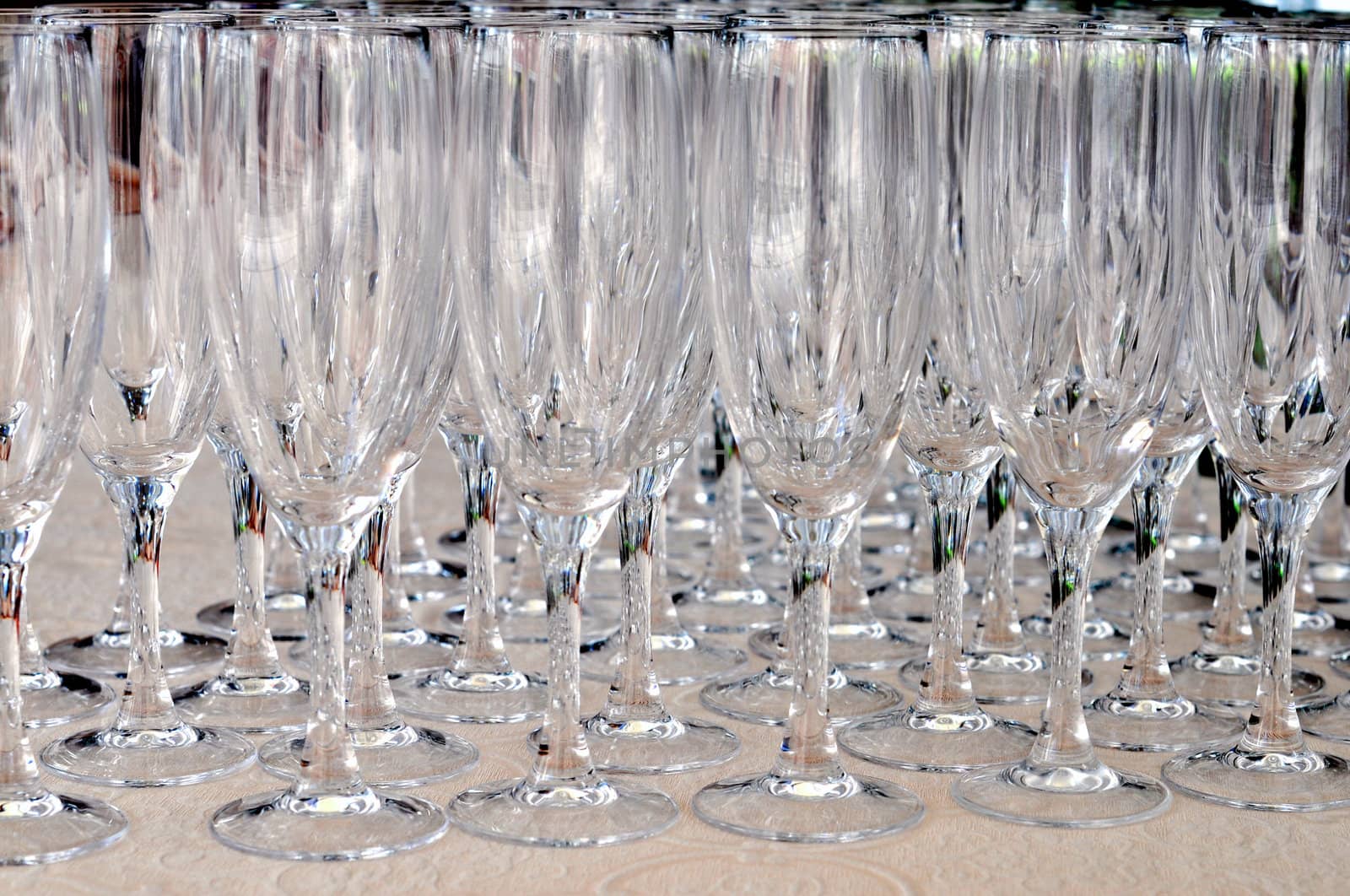 Glasses for wine in a bar or restaurant