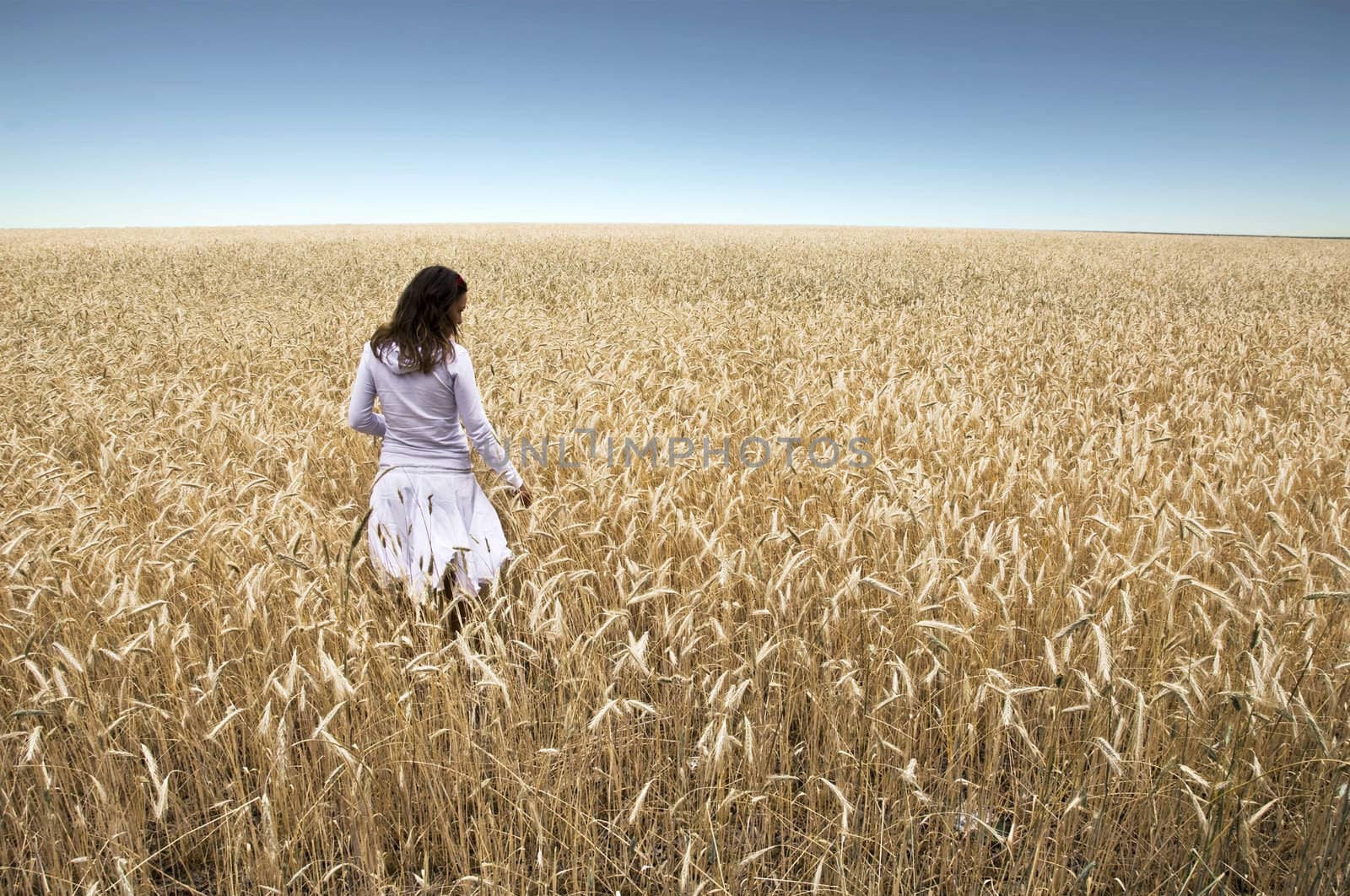 A young girl stands with his back to the camera in a field of rye, touching hands ears. Against the background of blue sky. Landscape.