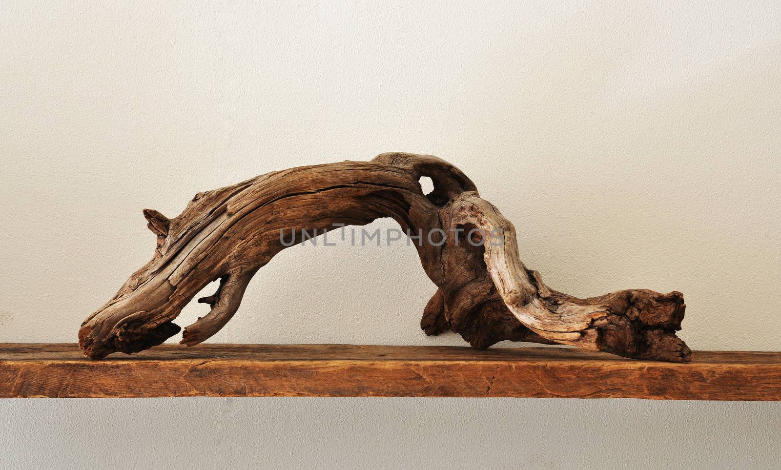 Crooked driftwood on a shelf