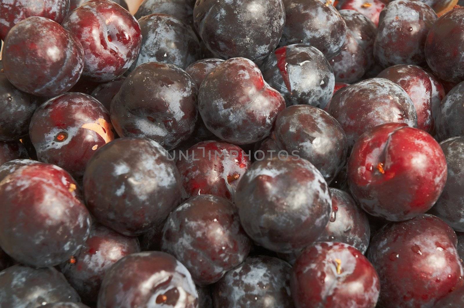 Pile of purple plums at produce market.