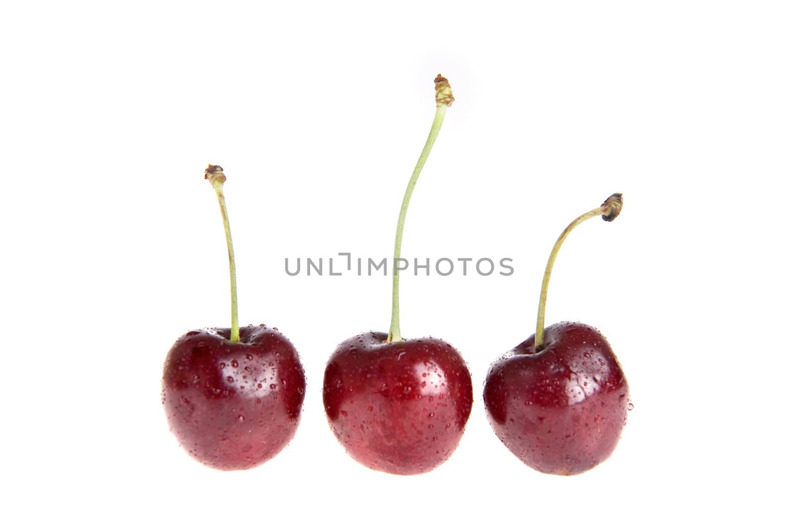 cherries on white