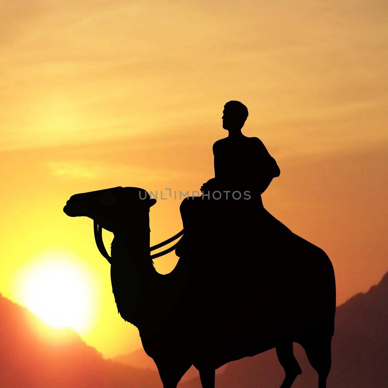 Silhouette of man on a camel with a sunset background 