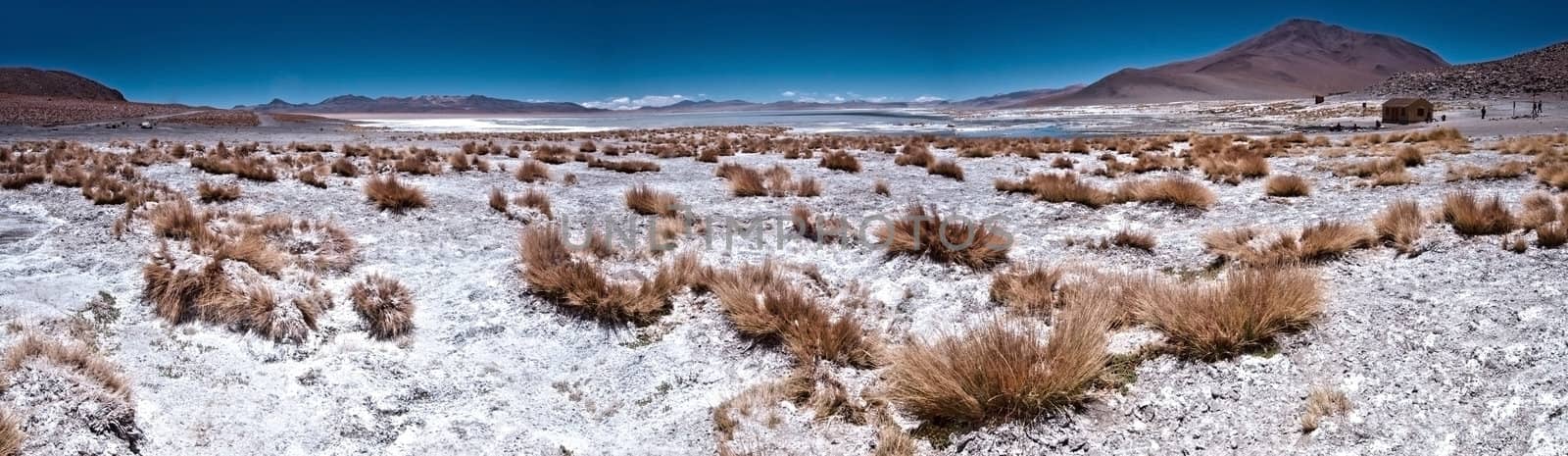 Desert Panoramic by urmoments