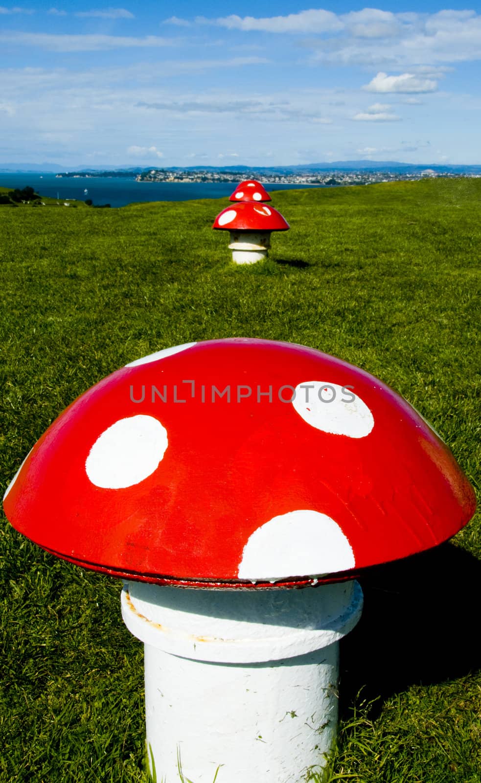 Decoration Mushroom  by urmoments