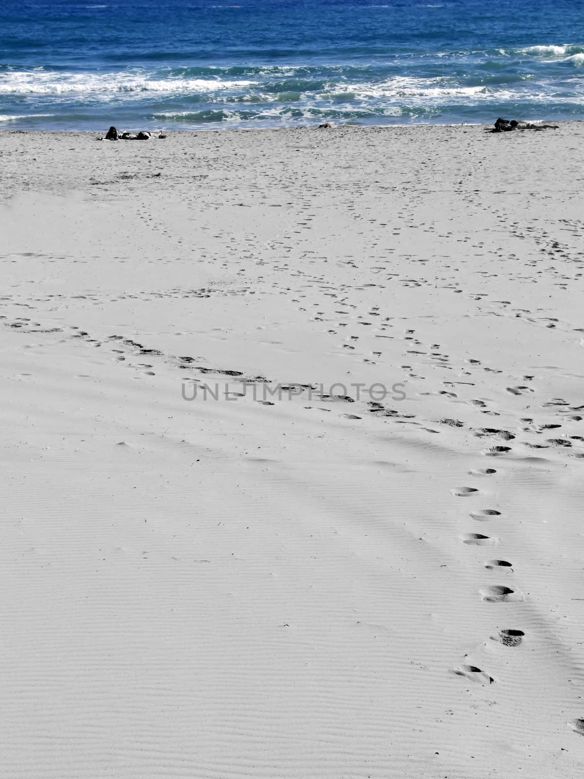 The Beach by PhotoWorks