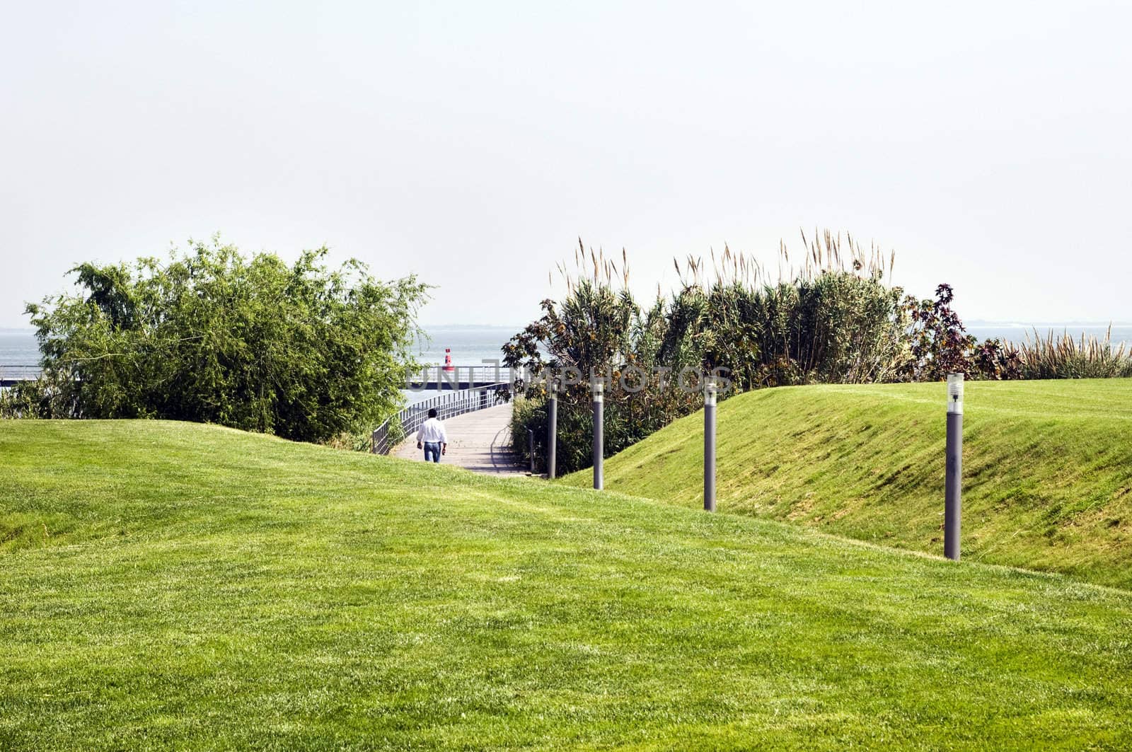 Lone man strolling in a park