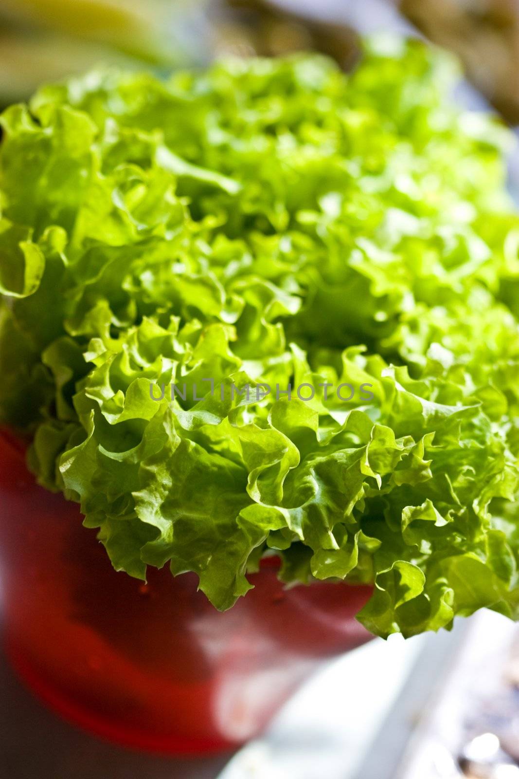 food series: tasty fresh lettuce on the bowl