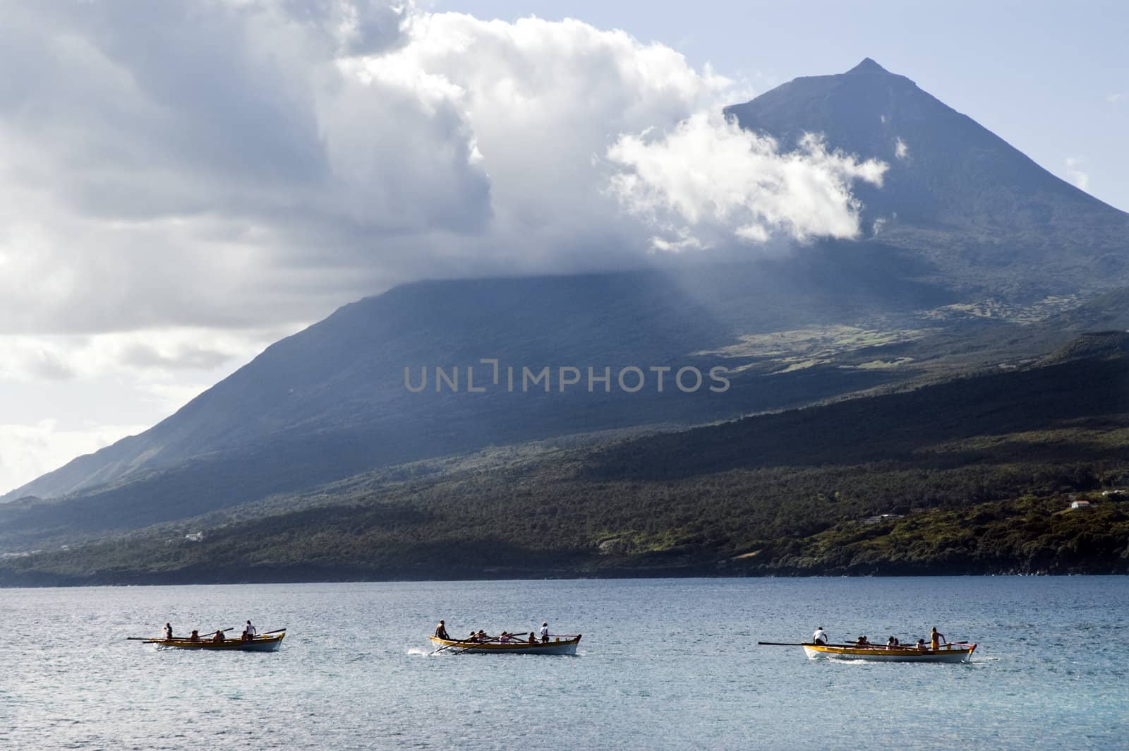 Rowing boat race near the shore