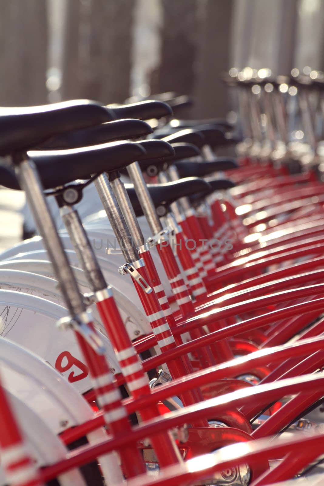 a row of red bicycles in perspective
