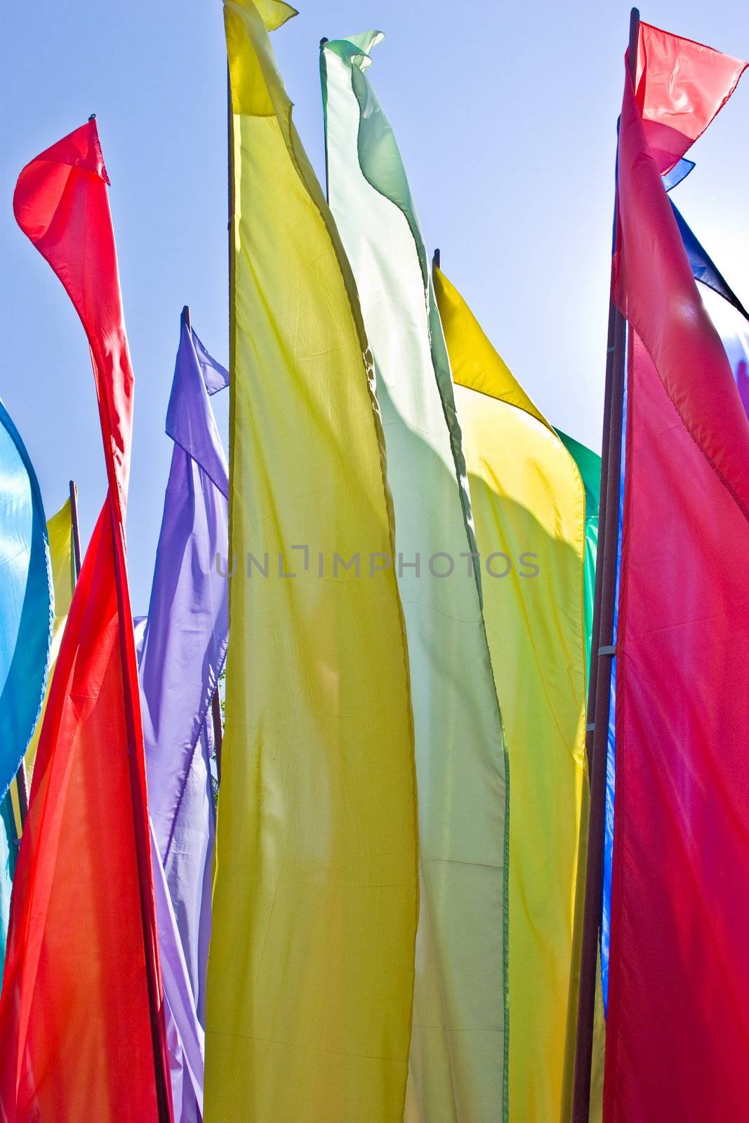 flag series: different colour flags over blue sky