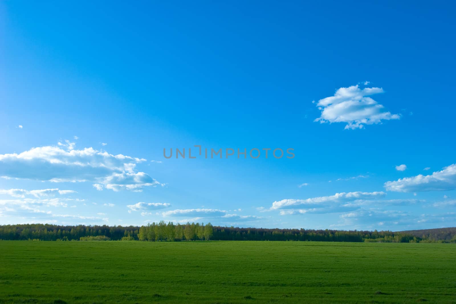 Green field under Blue sky with clouds