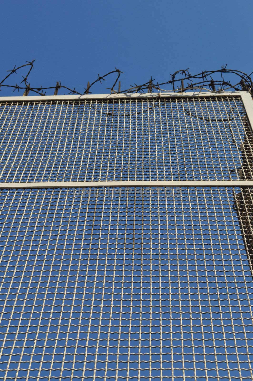 Detail of a barbed wire fence protection