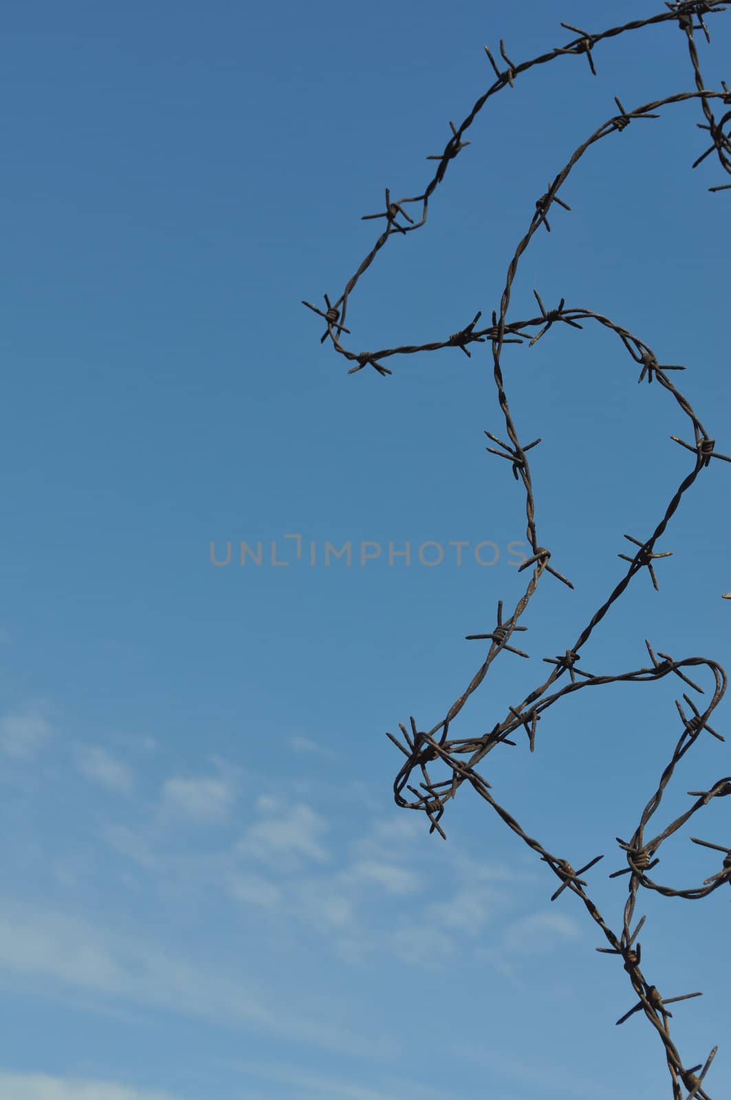 Detail of a barbed wire fence protection