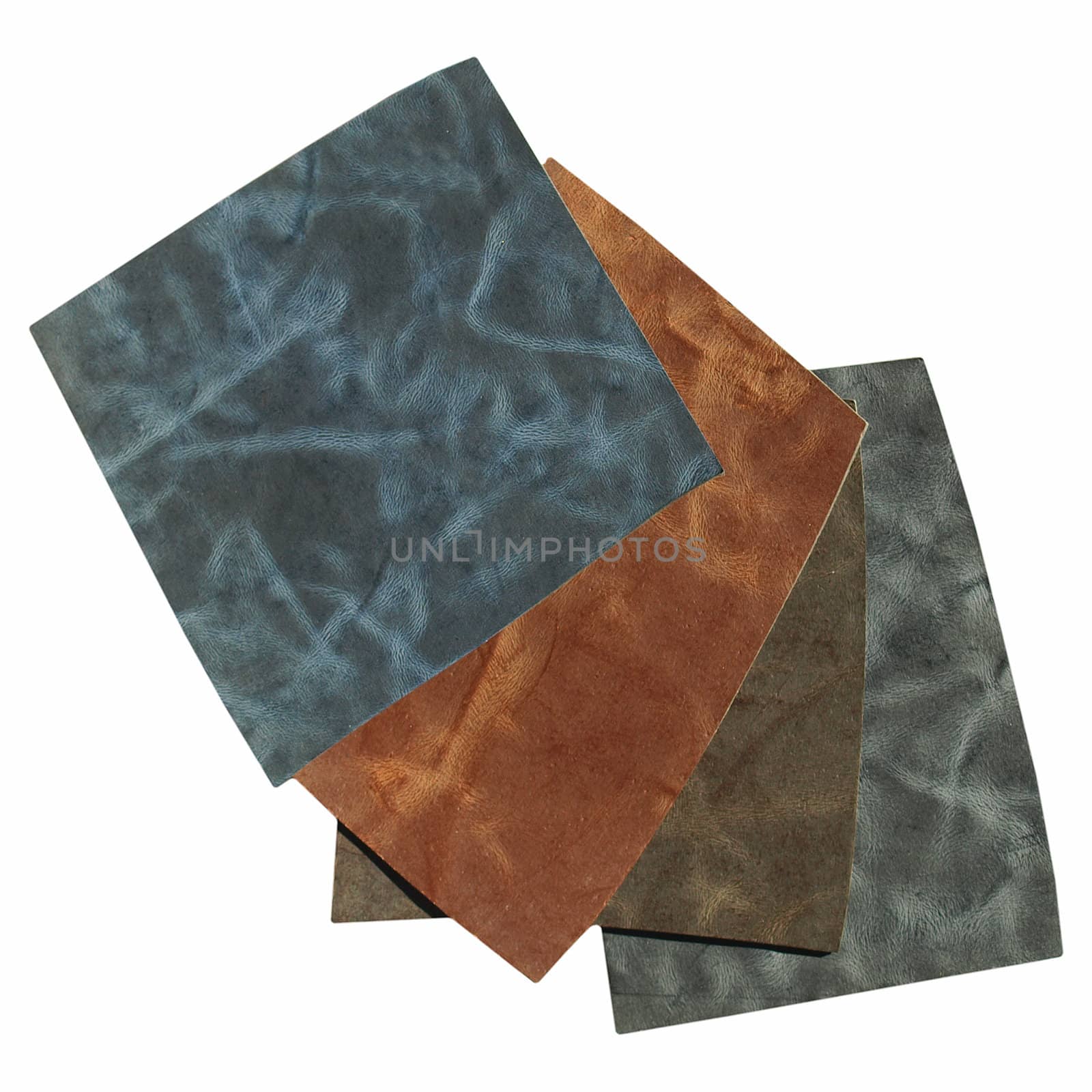 Leather sample by silviacrisman