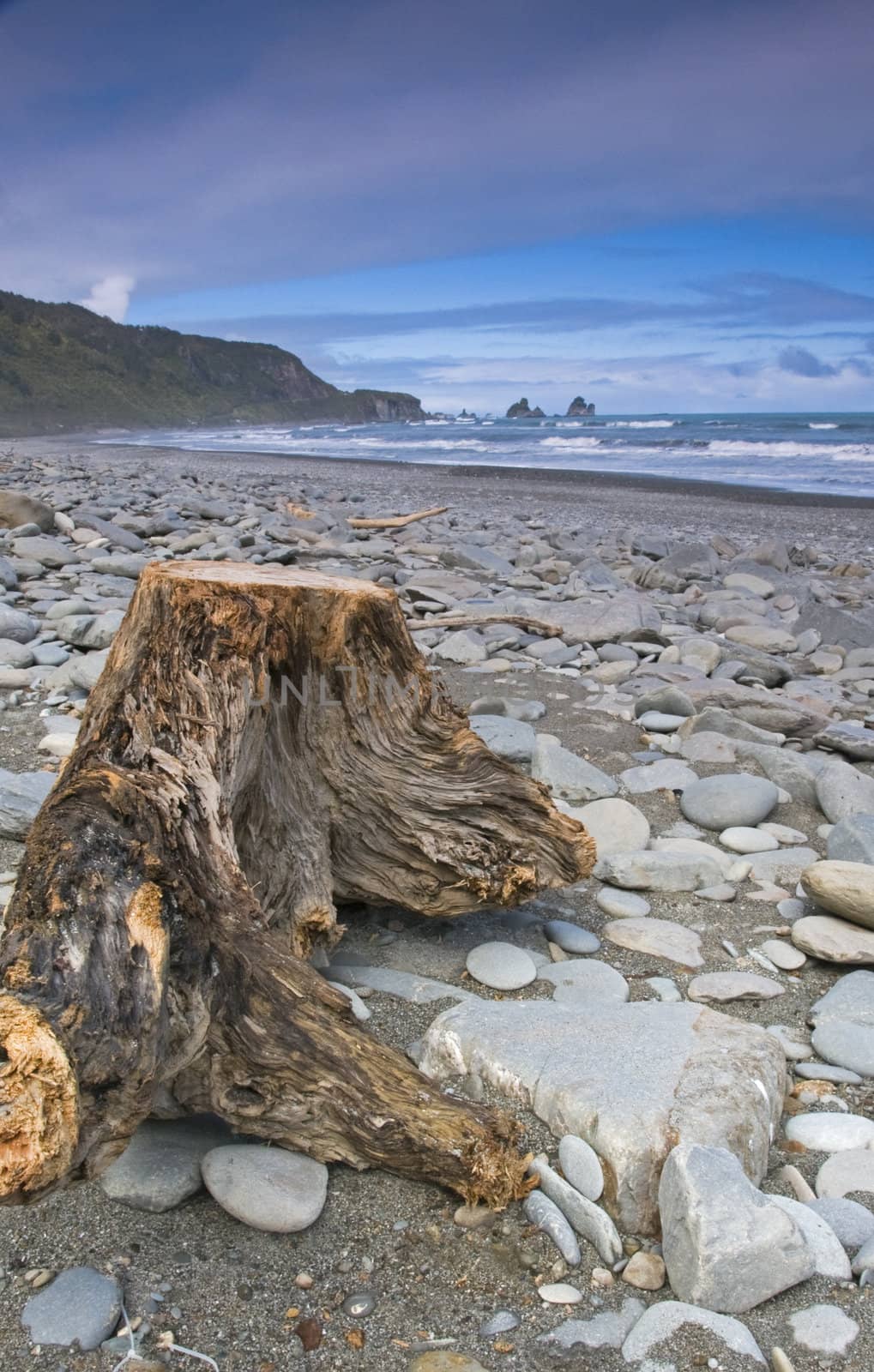 Washed up tree trunk by urmoments