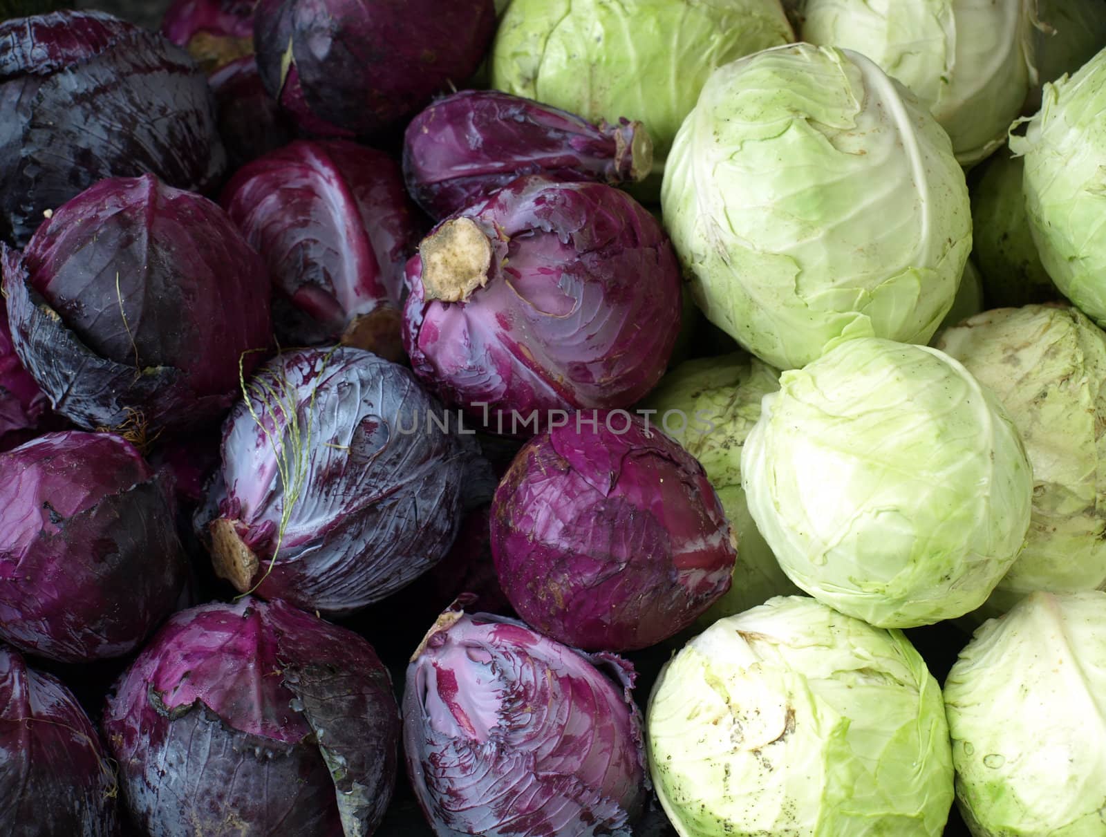 fresh cabbage for sale at a local farmers market