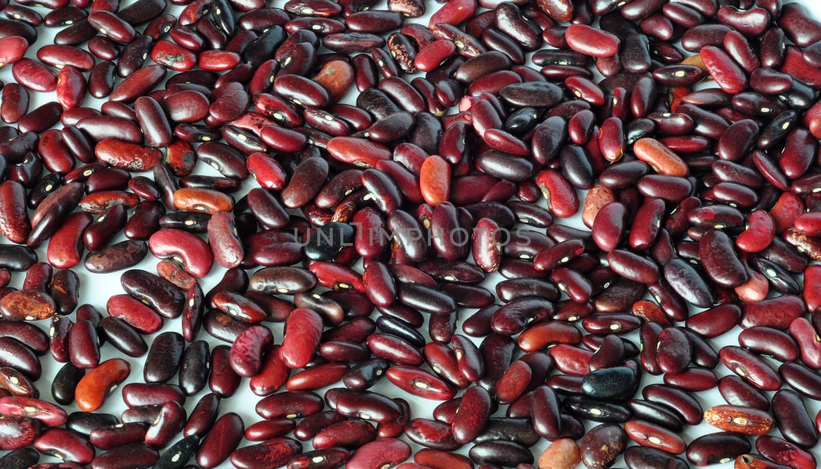 Closeup of red kidney beans
