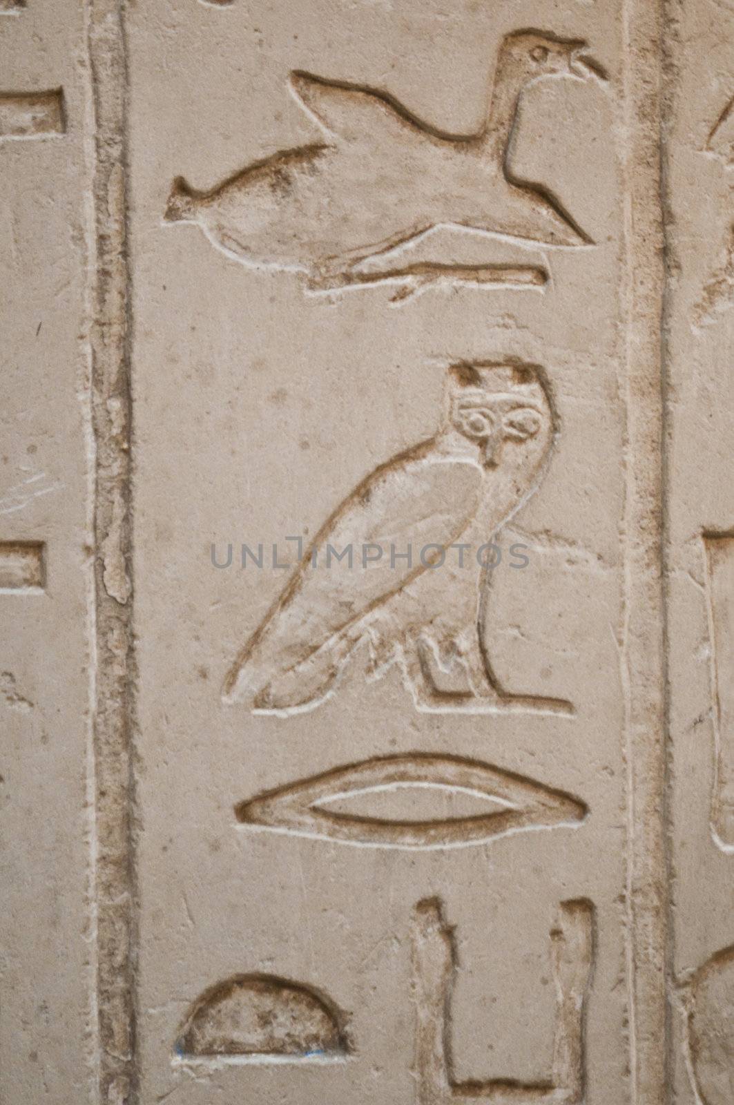 Egiptian hieroglyphs  engraved on stone