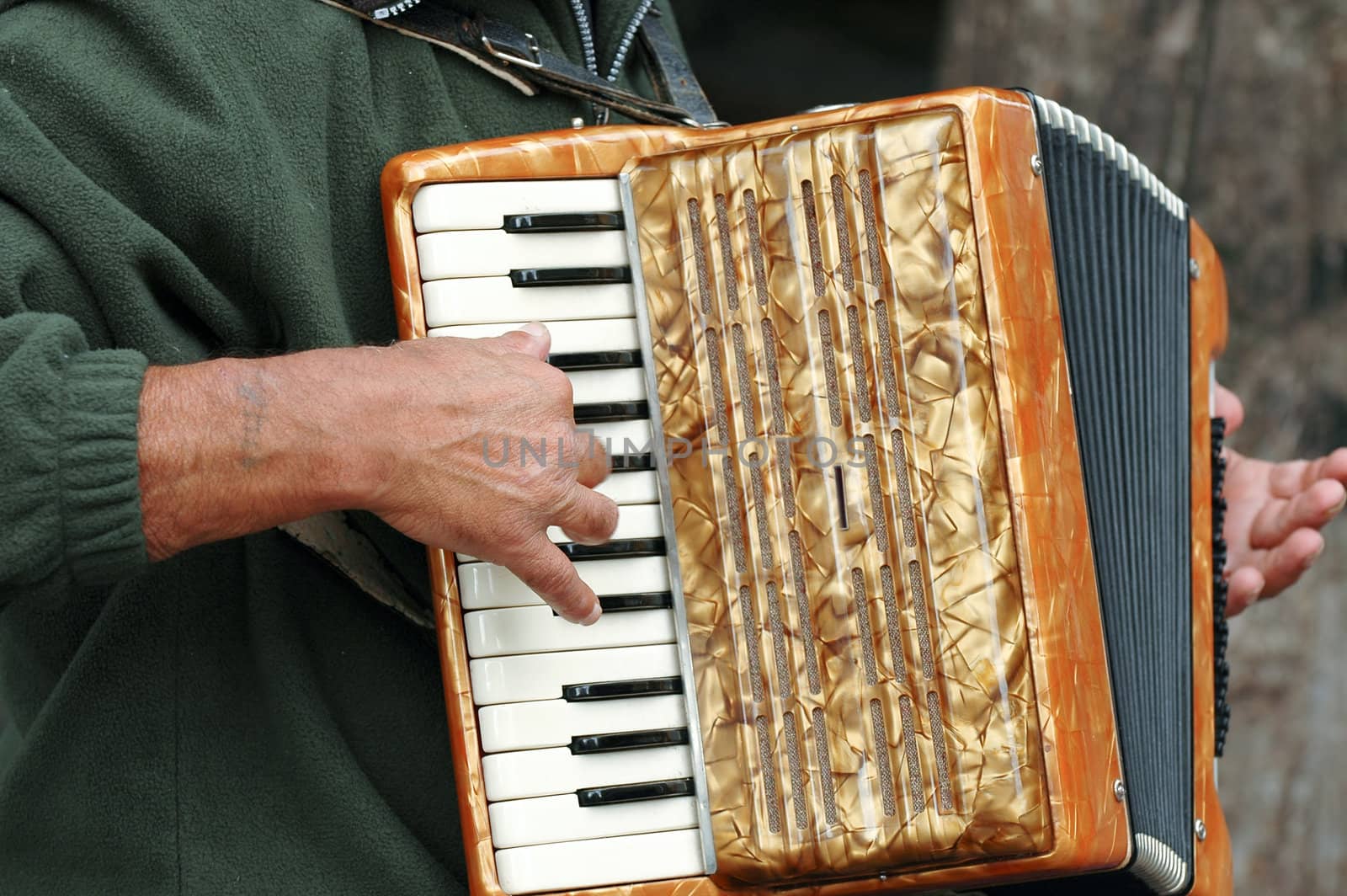 Man playing his harmonica