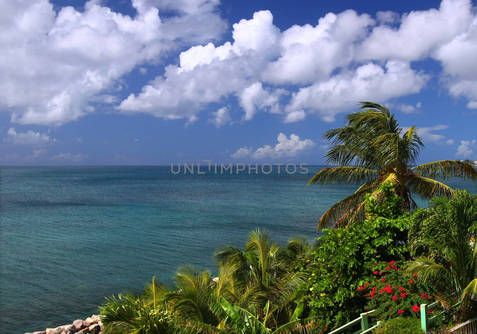 The Caribbean island of Saint Kitts by Wirepec