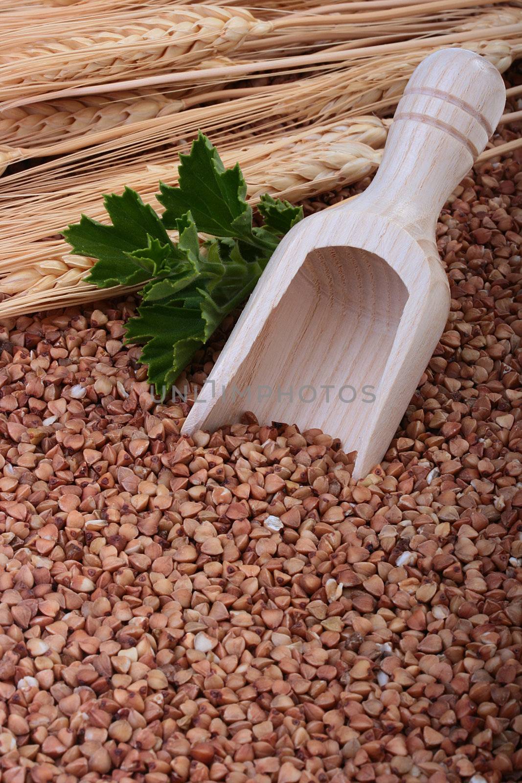 Buckwheat groats with a wooden deep spoon for packaging.