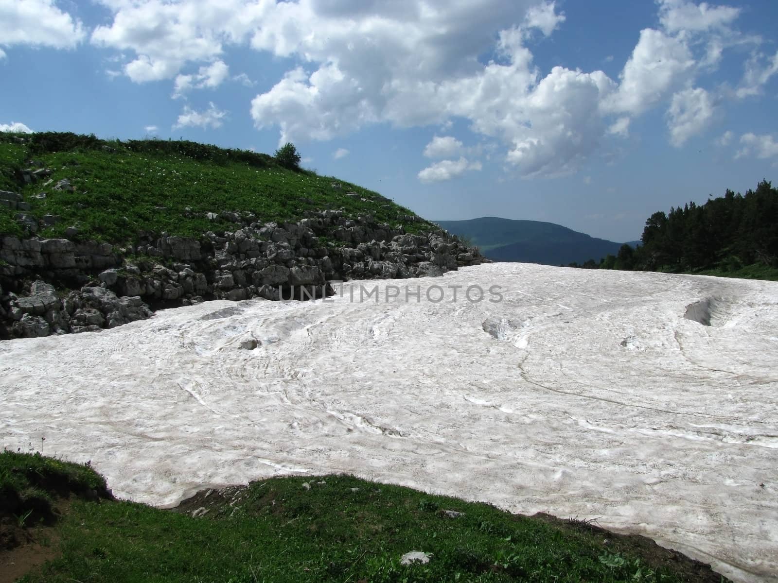 Europe; Russia; flora; the Alpine meadows, vegetation, a distance, summer, greens, flowering, plants, flowers