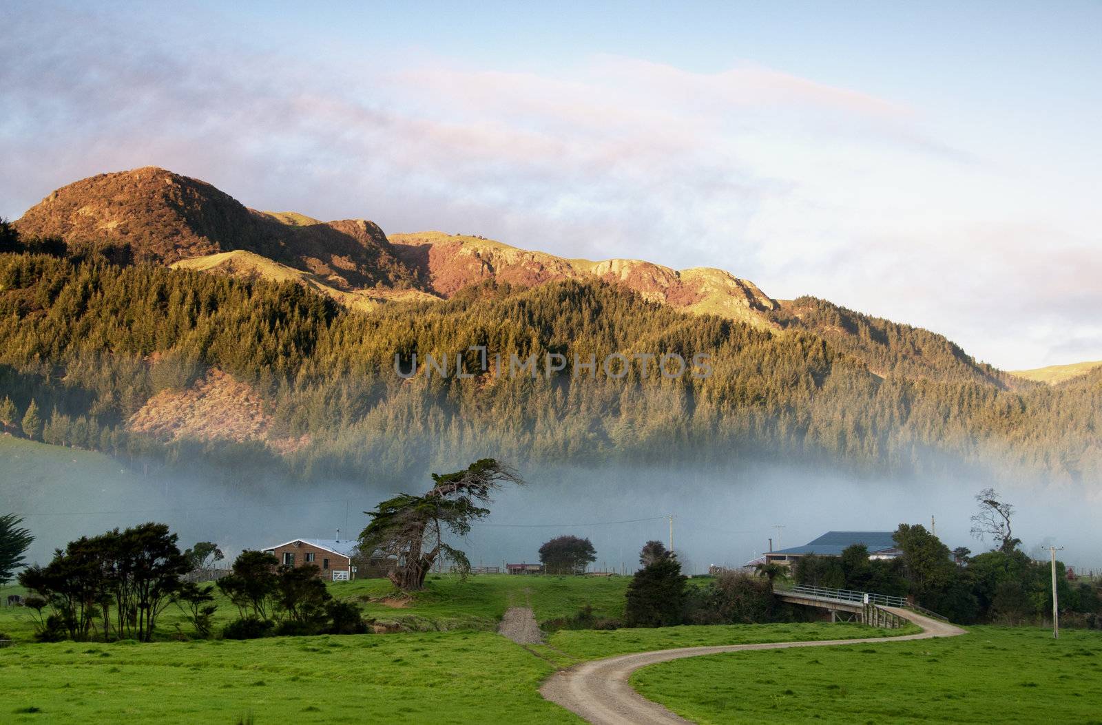Colville Farm with mist  moving through at sunset on Coromandel peninsula, New Zealand