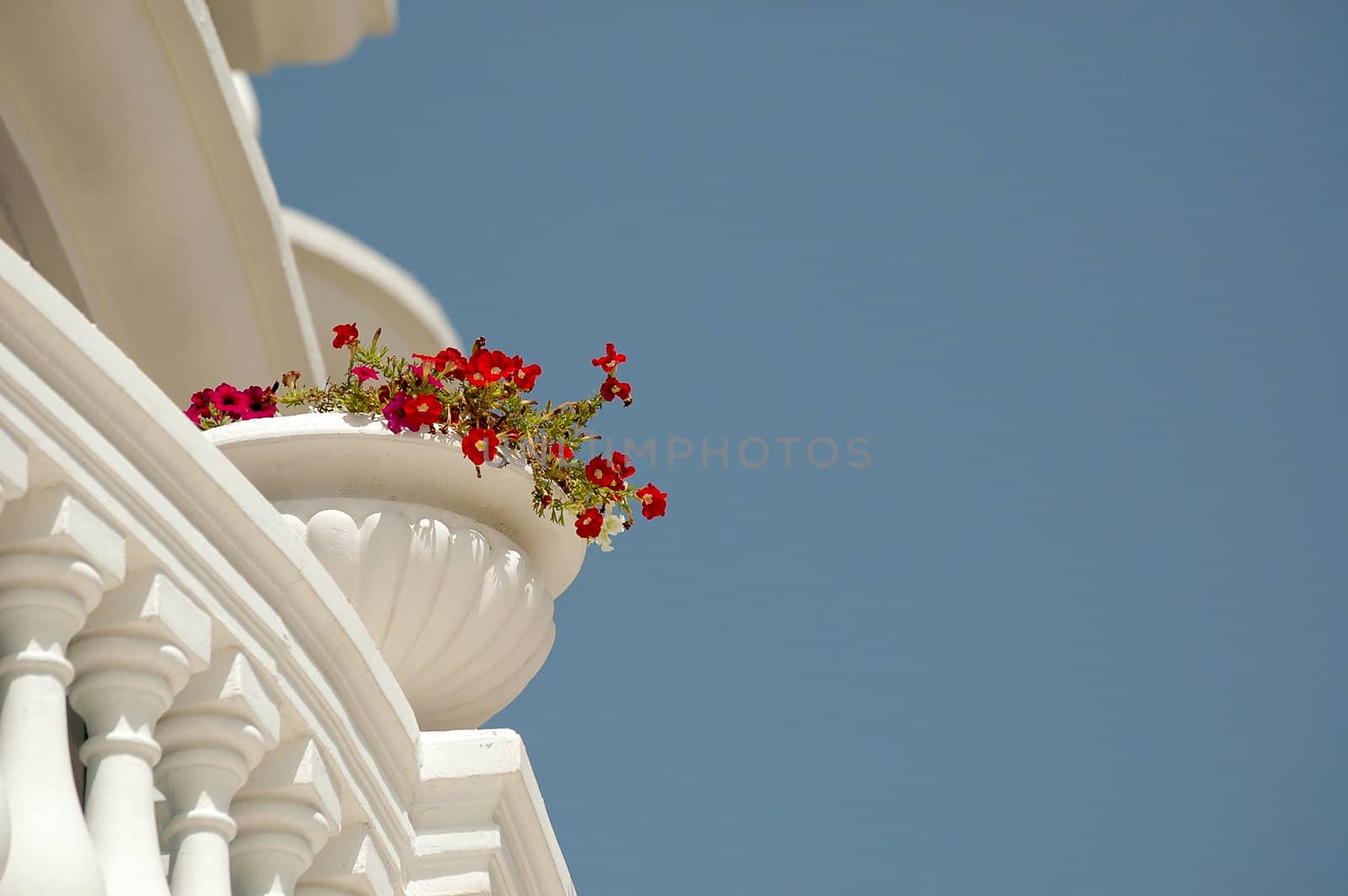 Flowers and balcony. Taken on a sunny day.