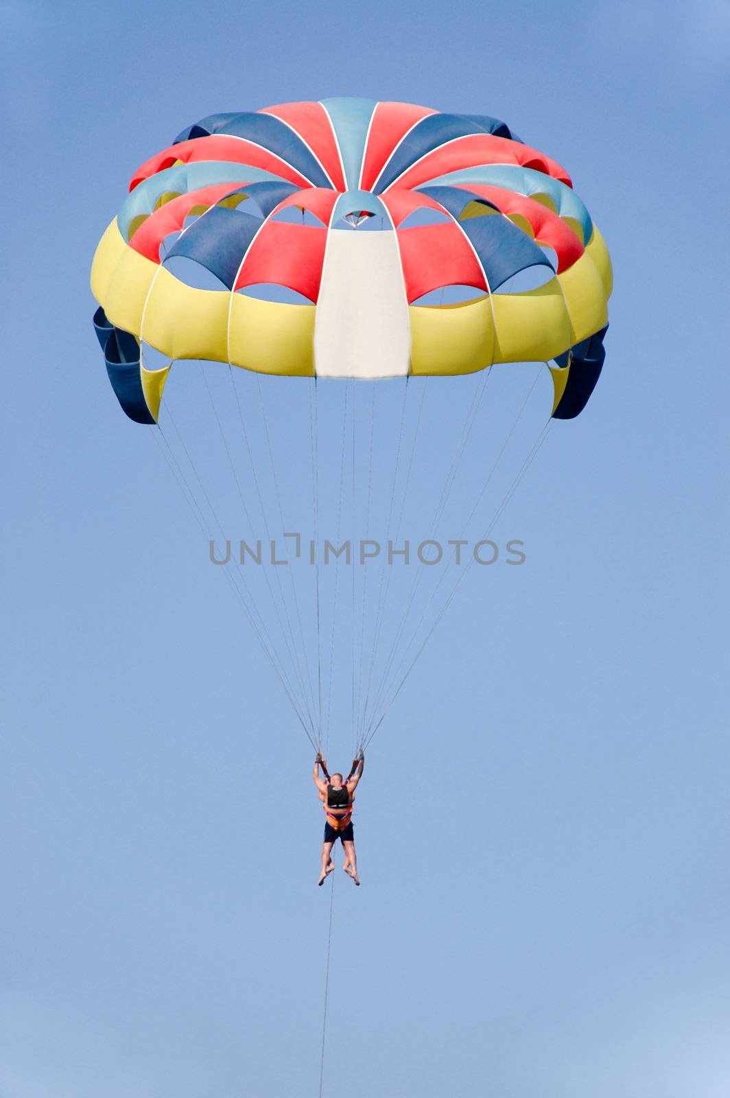 Paraglider by cfoto