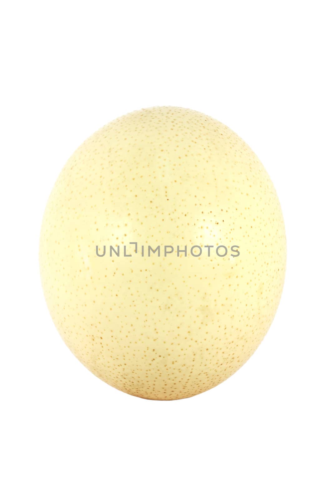 Big ostrich egg isolated on white background