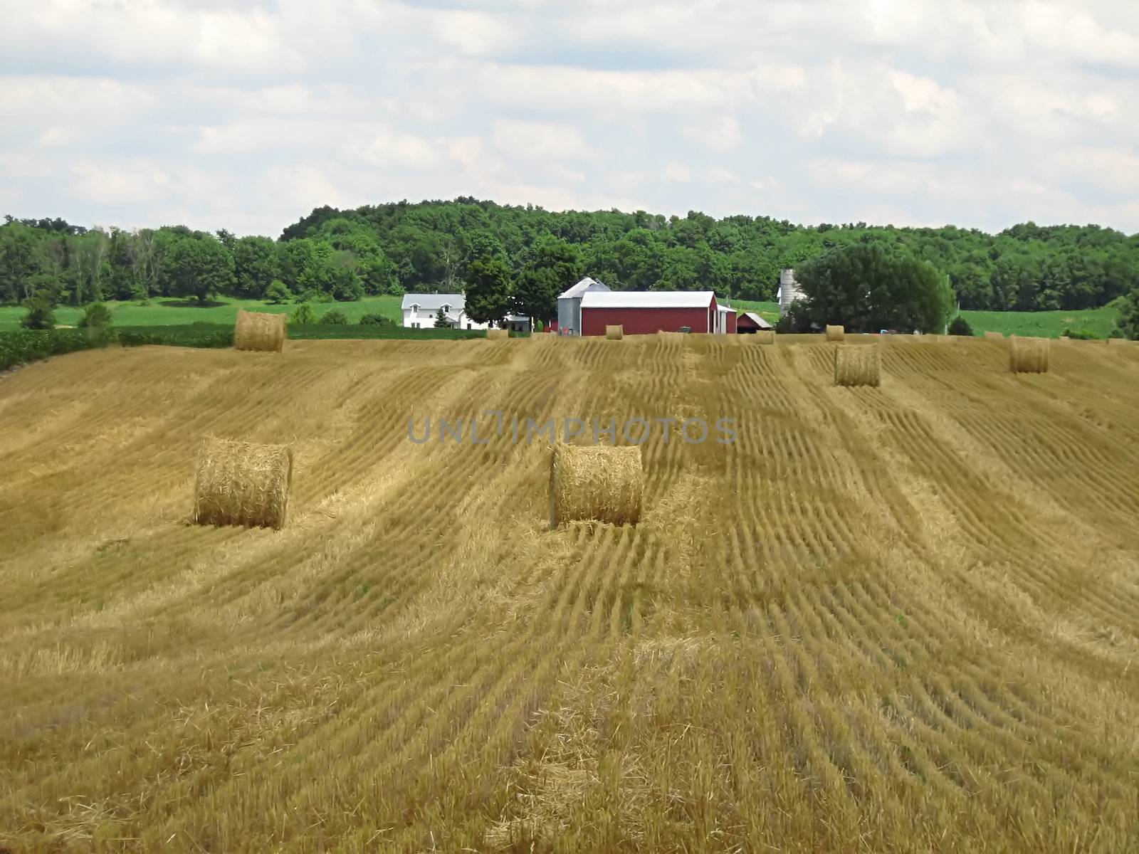 A photograph of farmland in the United States.