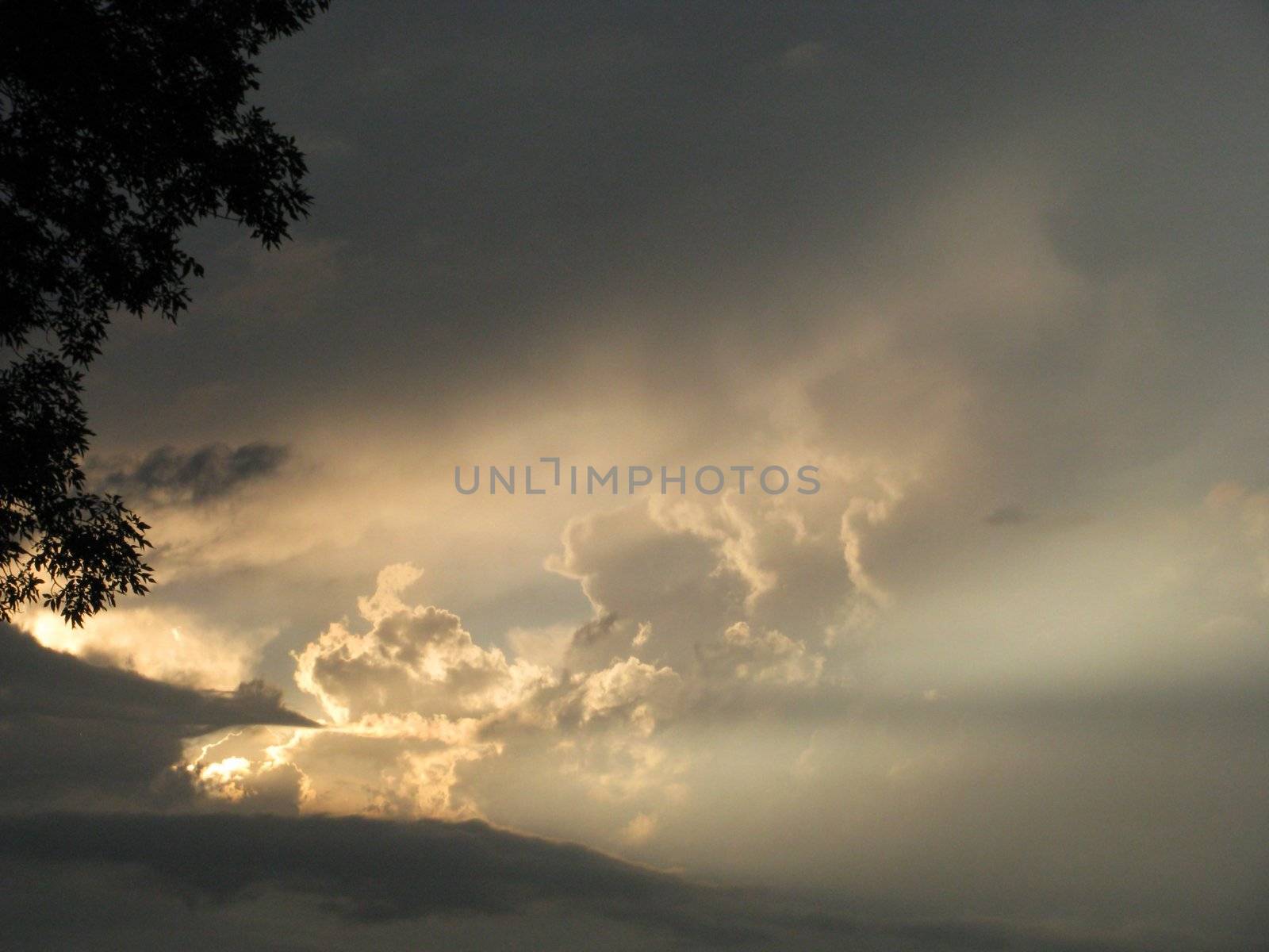 The sky, the sun, decline, beauty, landscape, kind, background, panorama, the nature, clouds, beams, light, a luminescence, a tree, caucasus