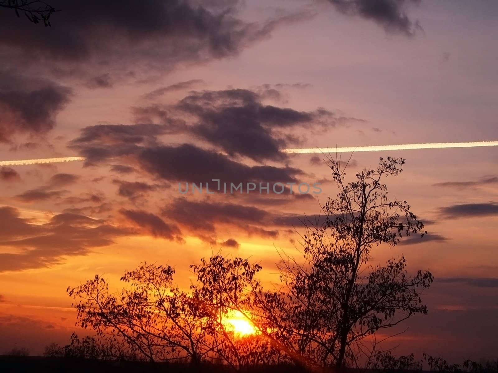 Sundown; sun; background; tree; bright celestial landscape; type; cloud; panorama; beauty; evening; colour; sunshine;  texture; sky; nature