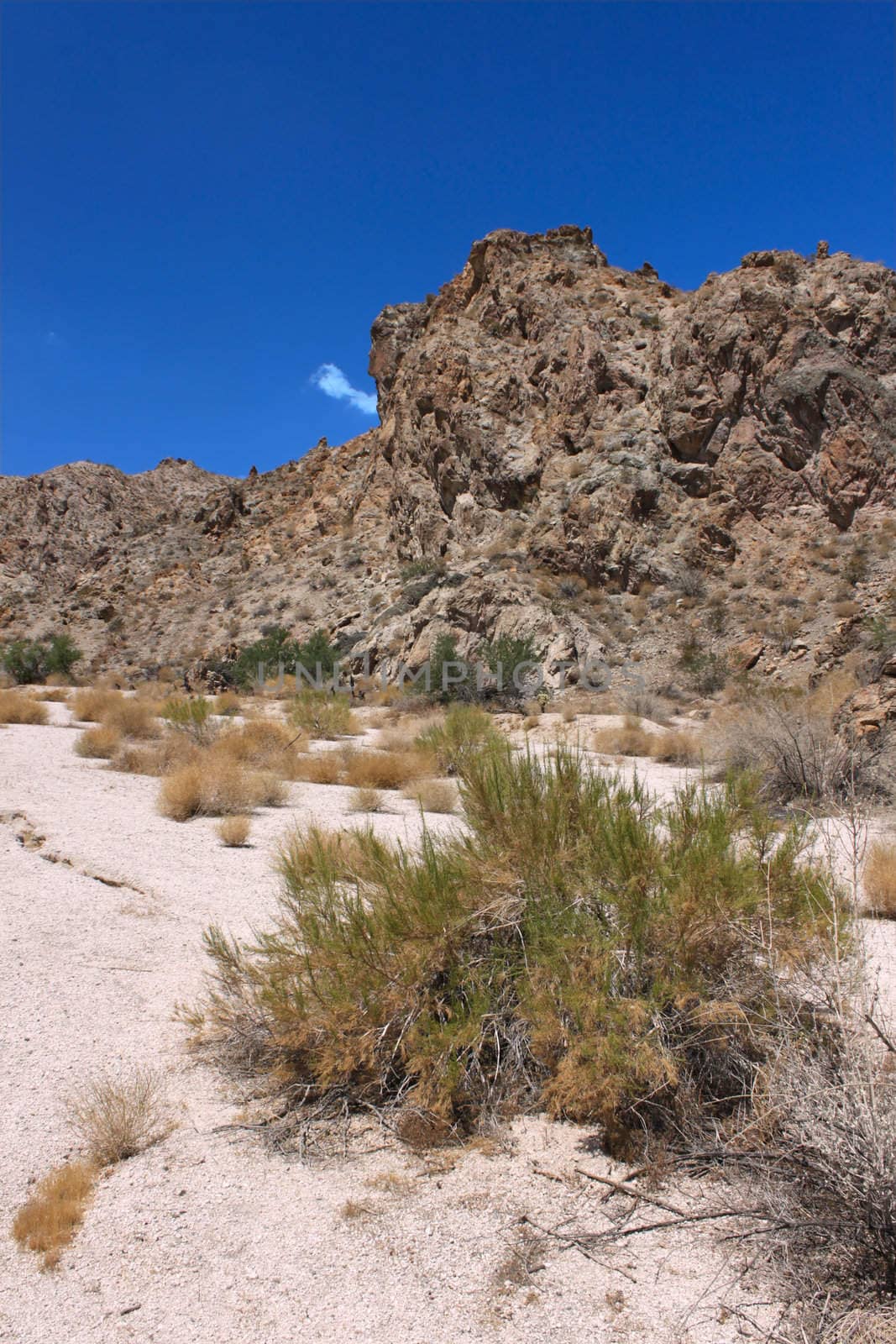The Arid landscape of Grapevine Canyon in Nevada.
